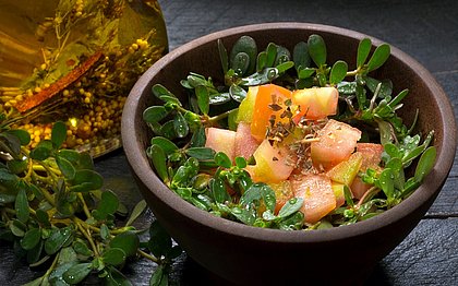 De erva-daninha a ao prato da salada, conheça as Plantas Alimentícias Não Convencionais 