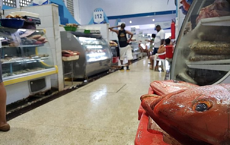 mercado do peixe