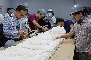 Empresários estrangeiros analisam de perto qualidade do algodão brasileiro. Países asiáticos são os principais compradores.