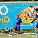 Recuperado da entorse no tornozelo, Nino Paraíba treina com bola no Fazendão