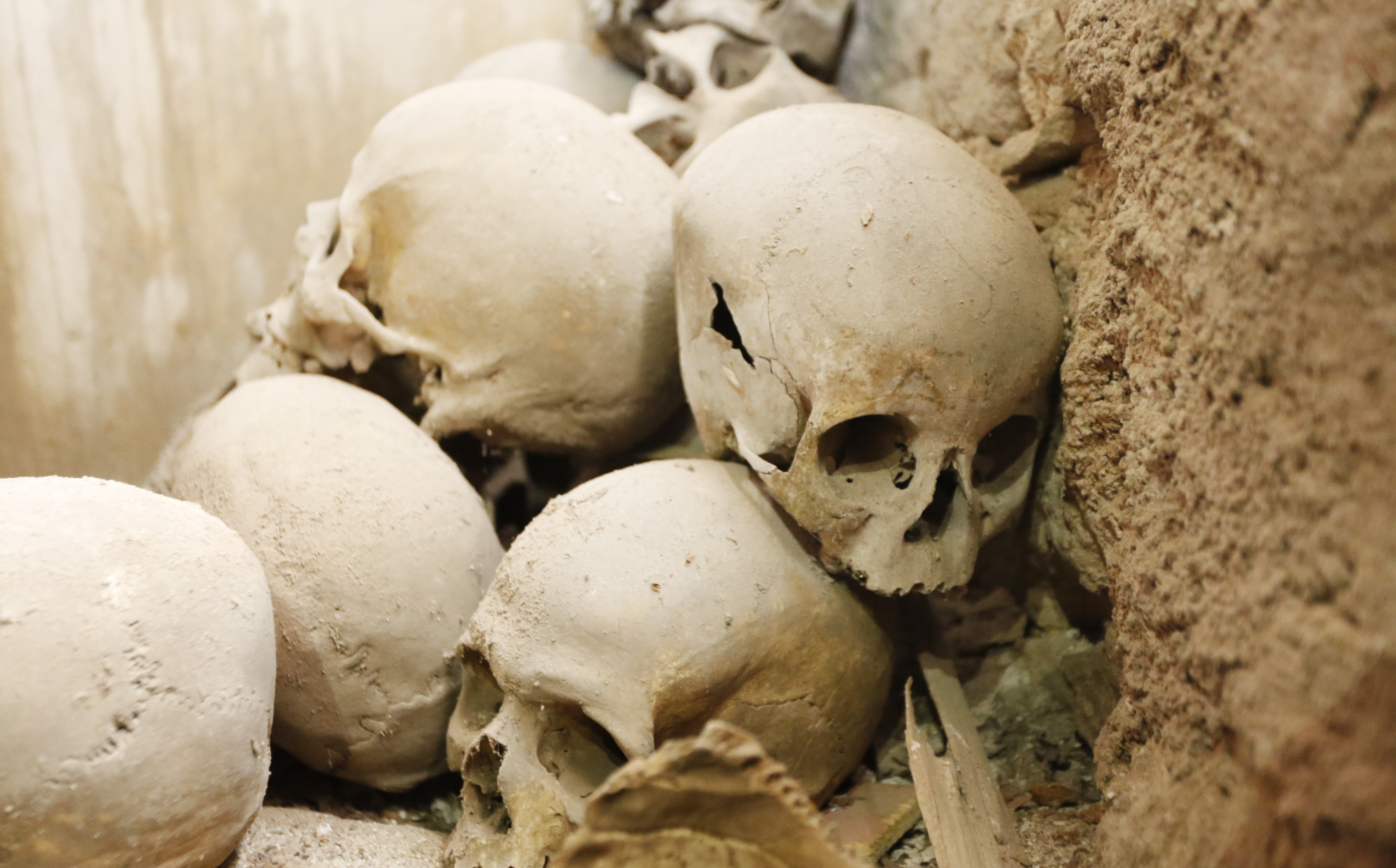 Crânios humanos encontrados atrás do altar de Santo Antônio de Loiola.