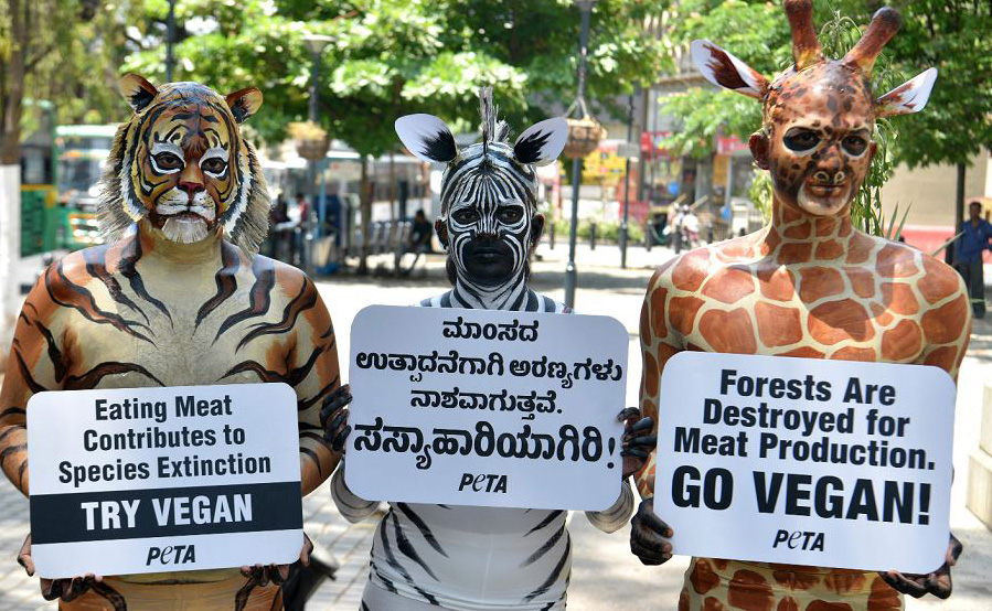 Ativistas do grupo PETA (pessoas para o tratamento &eacute;tico dos animais) vestidos de girafa, zebra e tigre posam com cartazes durante uma manifesta&ccedil;&atilde;o em prol do veganismo , na cidade de Bangalore na &Iacute;ndia. 