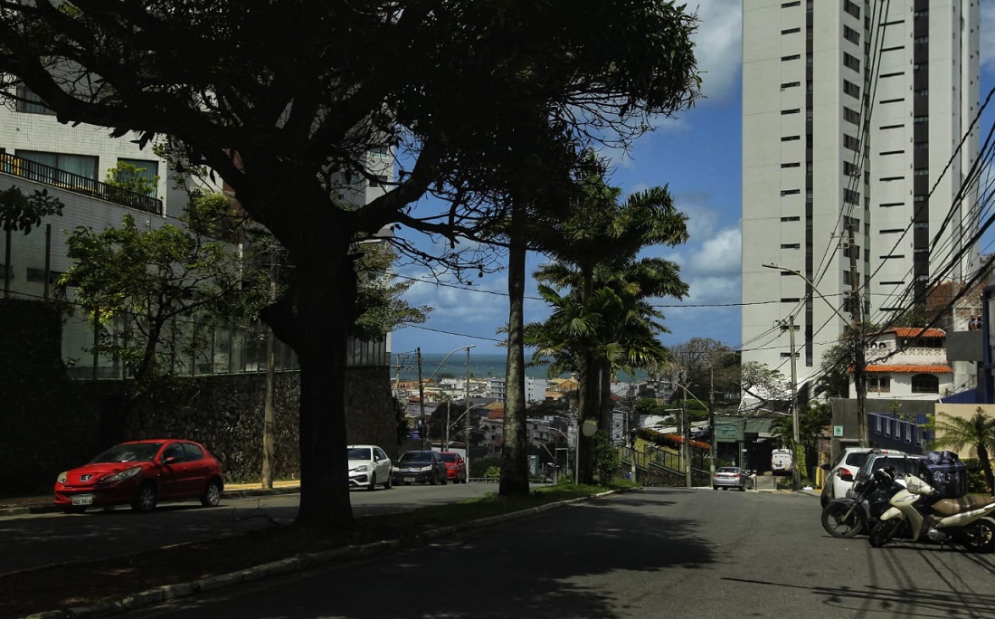 Horto Florestal deve virar bairro confira critérios para oficialização