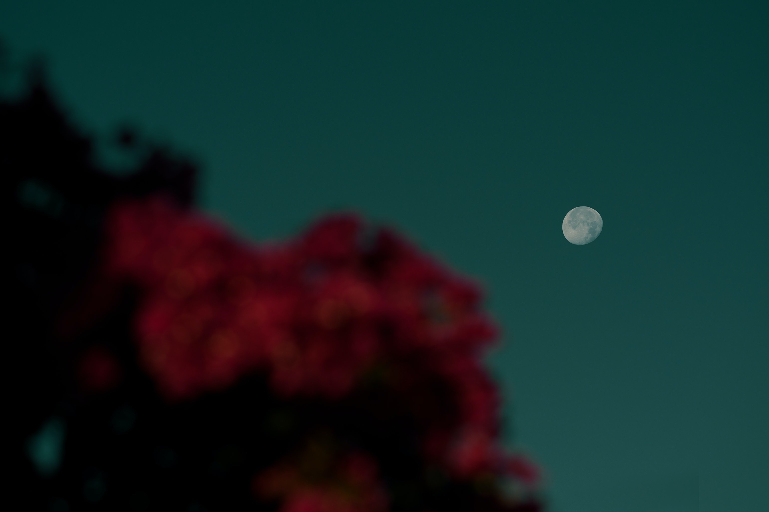 Céu do mês: ocultação de Marte pela Lua e início da primavera iluminam setembro