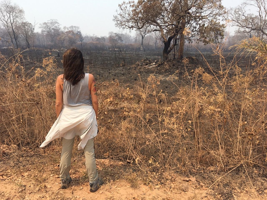 Luciana Leite observa a vegetação queimada no Pantanal